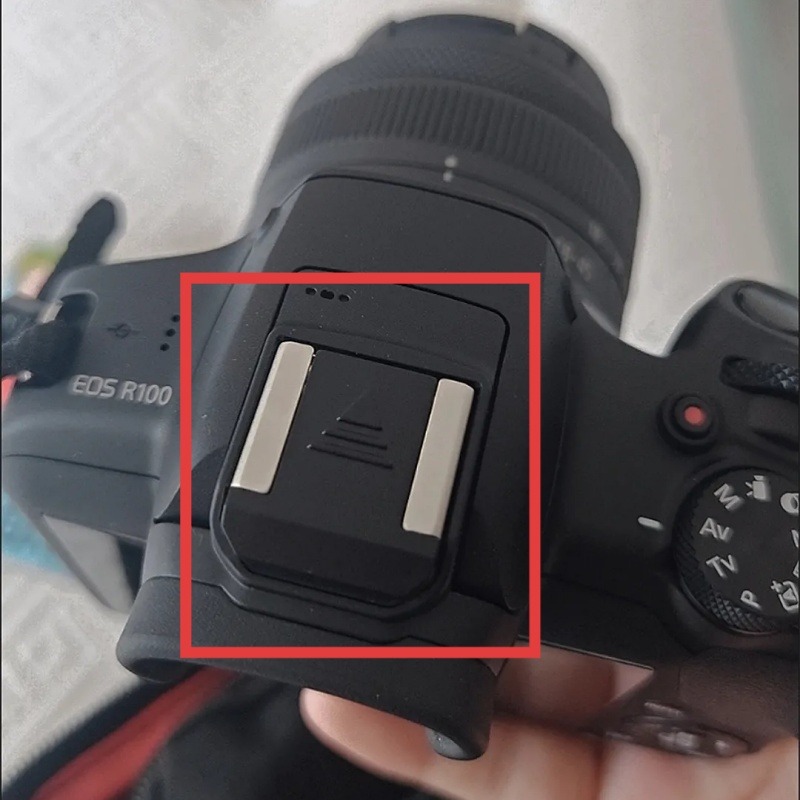 Canon Camera Eos R8 - キヤノン EOS R50 R5C R3 R10